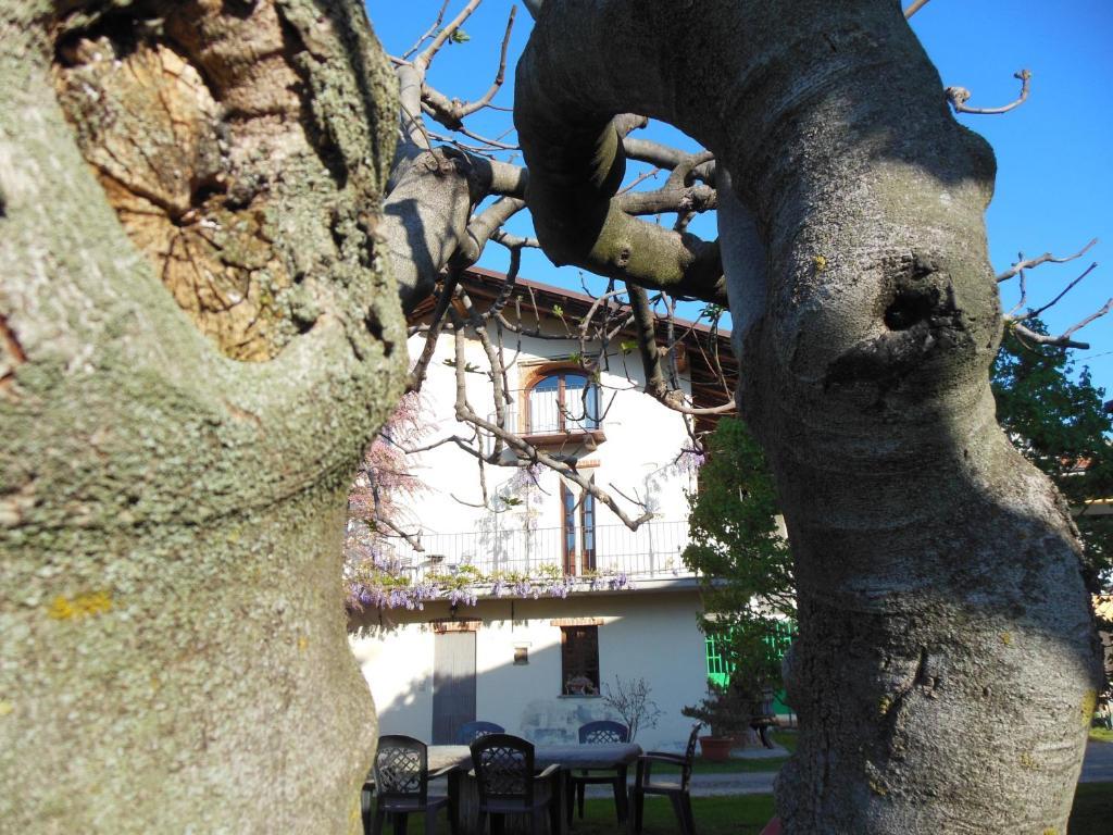 Agriturismo Affittacamere Barbarossa Dogliani Exterior foto